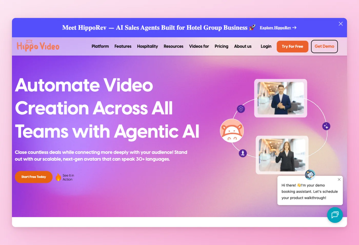 Screenshot of Hippo Video interface